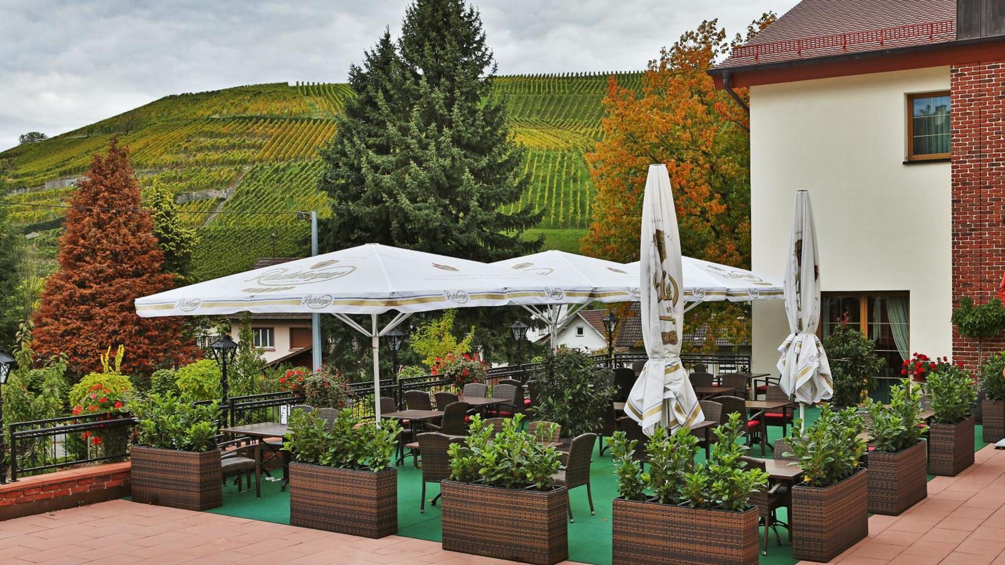 Rebstock Hotel 4*
